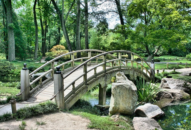 Japanese bridge. The obstacle is the path